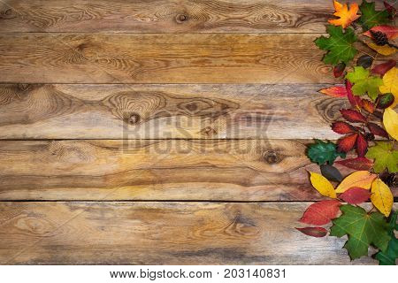 Thanksgiving Background With Leaves On Old Table