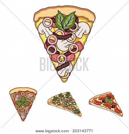 A slice of pizza with different ingredients. Different pizza set collection icons in cartoon style vector symbol stock illustration .