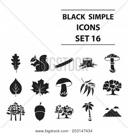 Forest set icons in black style. Big collection forest vector symbol stock