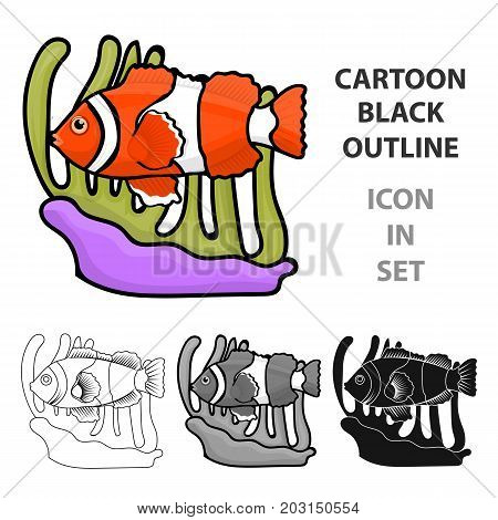 Clownfish and anemone icon in cartoon design isolated on white background. Australia symbol stock vector illustration.