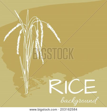 vector background with rice logo hand-drawn plants