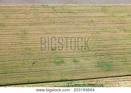 Above View Of Agricultural Harvested Fields