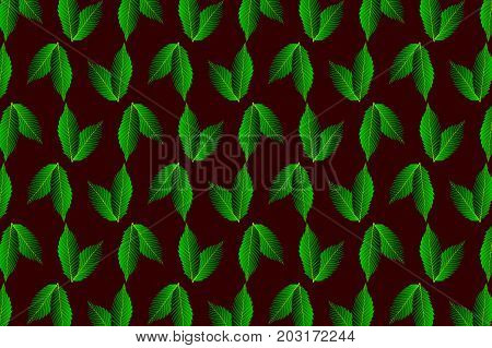 Green leaf chestnut on dark background - vector pattern  ,
 (Castanea sativa)