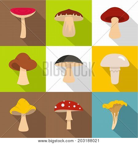 Autumn mushroom icon set. Flat style set of 9 autumn mushroom vector icons for web design