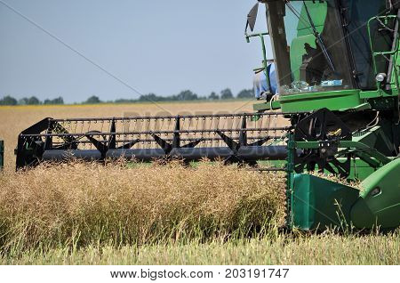 Yahilnytsia - Chortkiv - Ukraine - July 13 2016. Collection of winter rape using the powerful combine harvester in the agricultural sector "Yahilnytske"