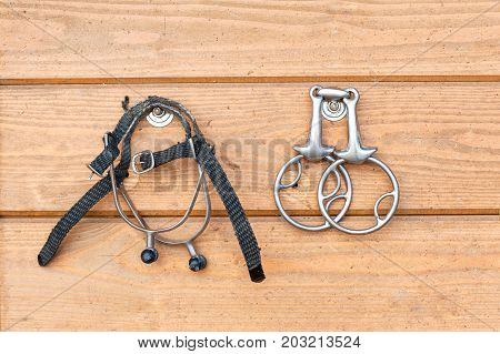 Steel horse snaffle-bit and spurs hanging on wooden background. Outdoors close-up image.