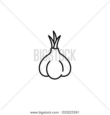 Garlic Thin Line Vector Icon. Isolated Condiment Linear Style For Menu, Label, Logo. Detailed Vegeta