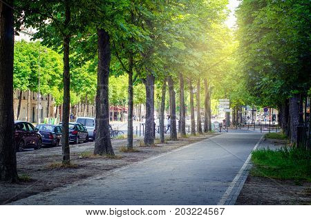 Paris, France - June 5, 2017: Tall green trees grow along sidewalk of avenue de l'Observatoire