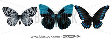 Set of colorful realistic butterflies. Vector 3D illustration