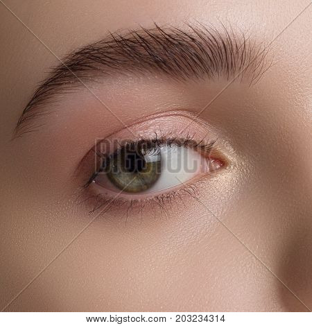 Close up view of beautiful brown female eye. Perfect trendy eyebrow. Good vision contact lenses brow bar or fashion eyebrow makeup concept