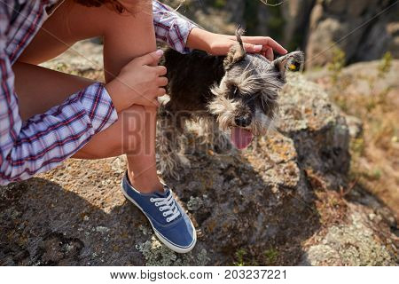 A close-up picture of a cute puppy in female hands. Young blond woman caressing her dog on a blurred natural background. A tourist trip with a dog. Nature, animals, trip concept.