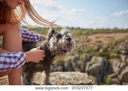 A close-up picture of a cute puppy in female hands. Young blond woman caressing her dog on a blurred natural background. A tourist trip with a dog. Nature, animals, trip concept. Copy space.