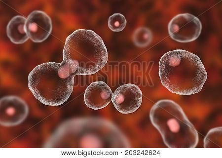 Dividing cells on colorful background, 3D illustration