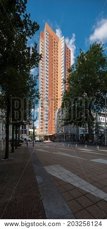 Palace in the city of Rotterdam