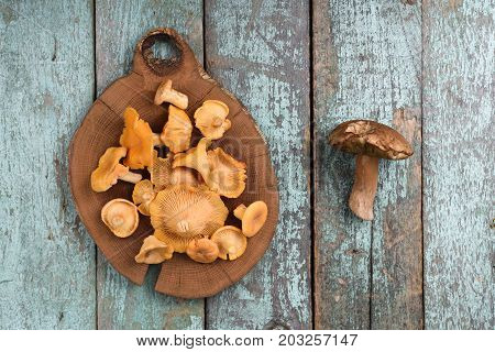 Raw forest mushrooms chanterelle and porchini on wooden plate on vintage turquoise background above view
