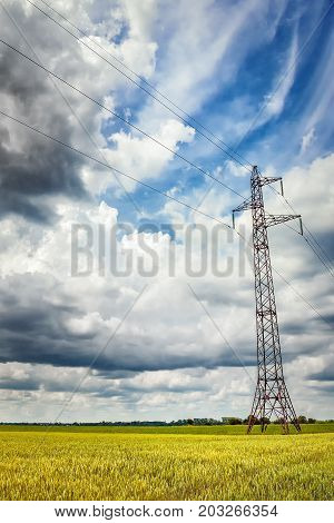 High voltage lines and power pylons in a green field