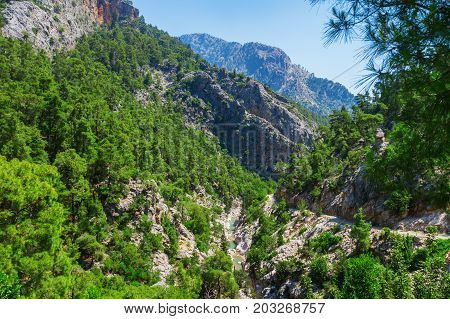 The Canyon Yolu