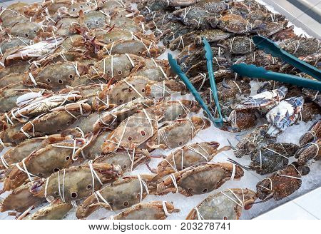 Fresh crabs on ice stall in the supermarket