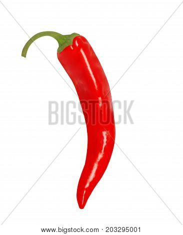 Isolated pepper. One red chili pepper isolated on white background.