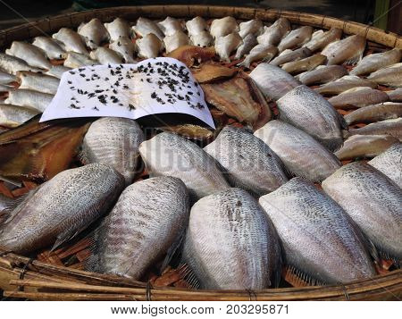 A Trichogaster pectoralis Local Good Thai Food