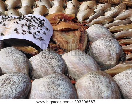 Dried fish Thailand Local food and fish manu