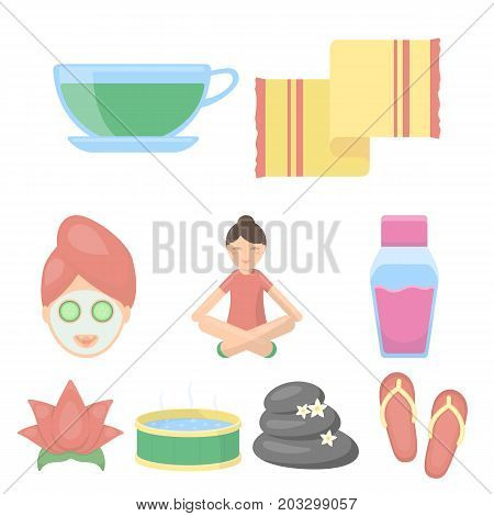 Spa set icons in cartoon style. Big collection of spa vector symbol stock