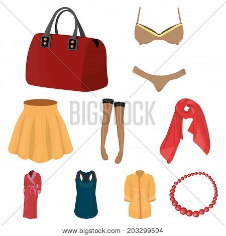 Pictures about types of women's clothing. Outerwear and underwear for women and girls. Woman clothes icon in set collection on cartoon style vector symbol stock web illustration.