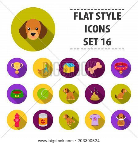 Dog equipment set icons in flat style. Big collection dog equipment vector symbol stock