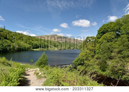 Shore of Grasmere in the English Lake District