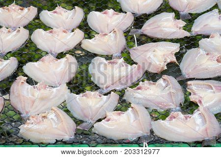 Fresh fish on plastic net under sun light for make dried fish. tradition dried fish in Thailand.