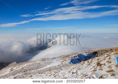 Mountain peak above the clouds. Sunny winter day on mountain above the clouds. Dry mountain in Serbia in winter with highest peak Trem