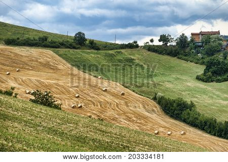 Summer landscape along the road from Maranello to Serramazzoni (Modena Emilia Romagna Italy) at summer