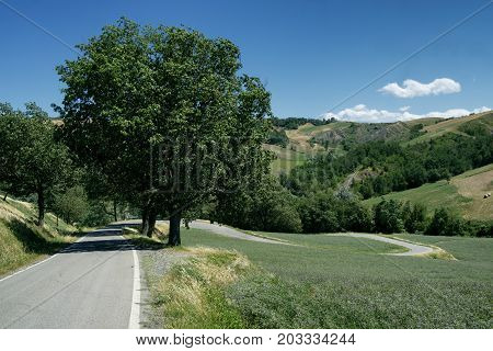 Summer landscape near Rivalta di Lesignano de Bagni (Parma Emilia-Romagna Italy) with the typical rocky inlets
