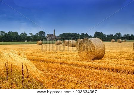 Rural landscape near Fidenza (Parma Emilia-Romagna Italy) at summer. Farm with the town of Parola in background