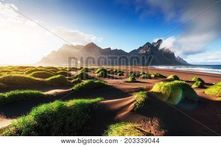 Fantastic west of the mountains and volcanic lava sand dunes on the beach Stokksness, Iceland