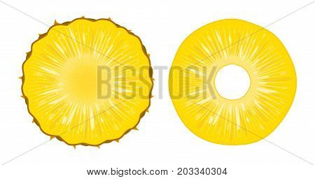 Vector illustration of ripe juicy pineapple slices isolated on white background. A cut ring of fresh exotic fruit. Natural tropical eco product