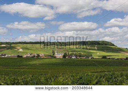 Avize France - June 12 2017: The small Champagne village Avize/Oger near Epernay with vineyards and hills on a summers day in France.
