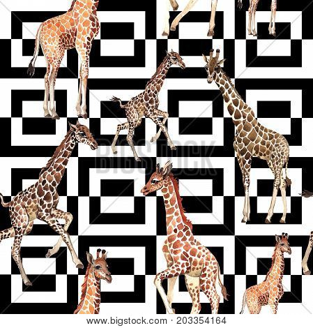 Exotic giraffe wild animal pattern in a watercolor style. Full name of the animal: camelopard. Aquarelle wild animal for background, texture, wrapper pattern or tattoo.