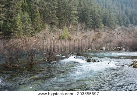 The rapidly moving creek in the forest. The flow of water in the autumn time among the trees. The waterfall by the rocks