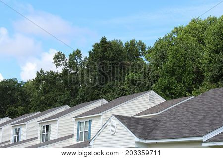 Generic rooftops backed by trees and blue sky, horizontal view