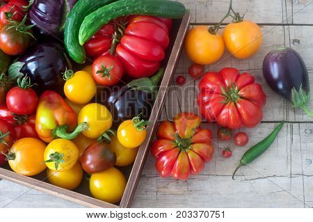 Fresh vegetables on a wooden surface. Tomatoes, peppers, cucumbers and eggplants. Rustic style, selective focus.