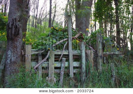 ประตูอุย