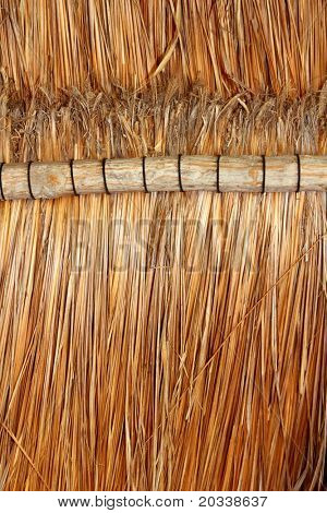 Palapa tropické Mexiko dřevěné kabiny střešní detaily vnitřních