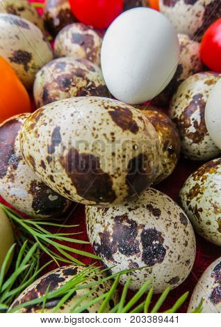 Organic Easter.Fresh rustic quail eggs lying on beautiful napkins on a table.