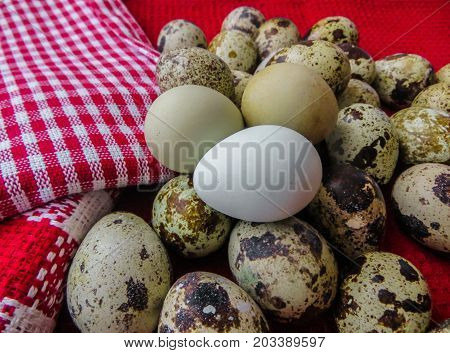 Organic Easter.Fresh rustic quail eggs lying on beautiful napkins on a table.