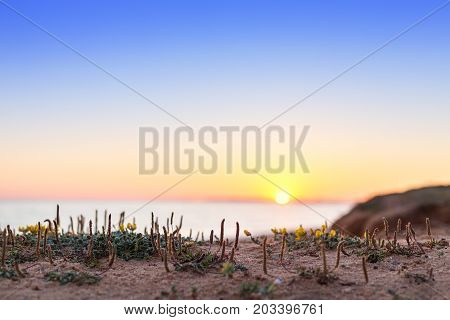 Minimalistic landscape of a macro sunset on the sea.