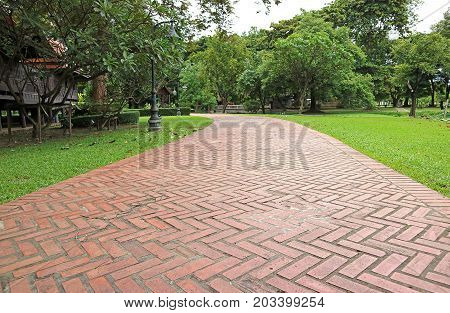 Terracotta Brick Paver Walkway in the Vibrant Green Garden in Thailand