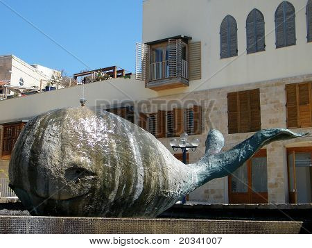 Jaffové velryba 2011