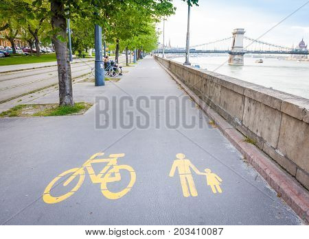 Bicycle Signs Painted On Asphalt