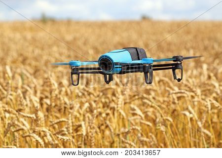 Flying drone with mounted camera over the yellow field